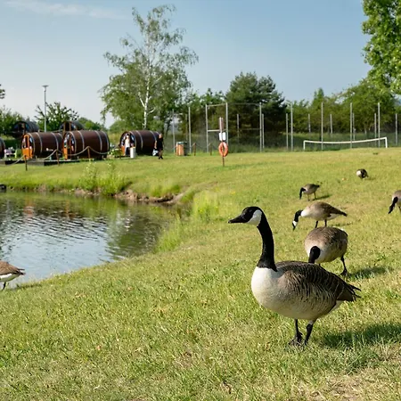 Tatil parkı Knaus Campingpark Bad Dürkheim