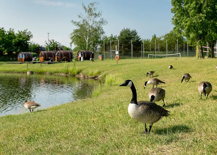 Holiday park Knaus Campingpark Bad Duerkheim